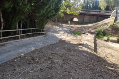 Limpieza-de-los-accesos-al-cementerio-de-Segorbe-2