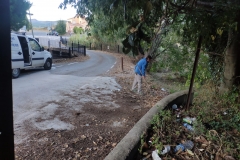 Limpieza-de-los-accesos-al-cementerio-de-Segorbe-3