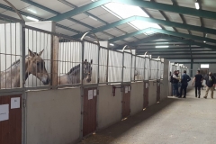 Los-participantes-en-el-Concurso-Equino-ya-estan-en-el-Centro-Hipico-de-Segorbe-2