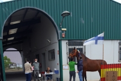 Los-participantes-en-el-Concurso-Equino-ya-estan-en-el-Centro-Hipico-de-Segorbe-3