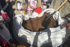 El-huerto-escolar-del-CEIP-Pintor-Camaron-llena-de-color-los-patios-del-colegio-1