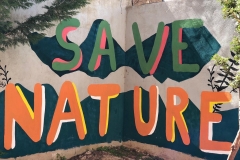 El-huerto-escolar-del-CEIP-Pintor-Camaron-llena-de-color-los-patios-del-colegio-12