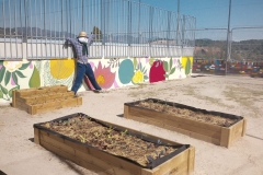 El-huerto-escolar-del-CEIP-Pintor-Camaron-llena-de-color-los-patios-del-colegio-13