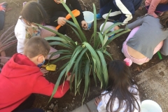El-huerto-escolar-del-CEIP-Pintor-Camaron-llena-de-color-los-patios-del-colegio-14
