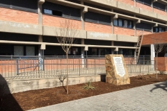 El-huerto-escolar-del-CEIP-Pintor-Camaron-llena-de-color-los-patios-del-colegio-2