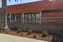 El-huerto-escolar-del-CEIP-Pintor-Camaron-llena-de-color-los-patios-del-colegio-3