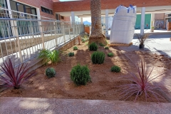 El-huerto-escolar-del-CEIP-Pintor-Camaron-llena-de-color-los-patios-del-colegio-6