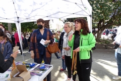domingo-I-Feria-del-Deporte-1