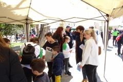 domingo-I-Feria-del-Deporte-4