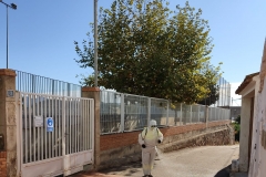 Limpieza-en-el-camino-La-Fraila-junto-al-CEIP-Pintor-Camaron-de-Segorbe-3