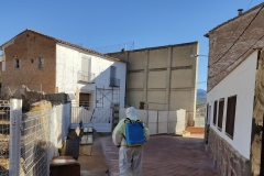Limpieza-en-el-camino-La-Fraila-junto-al-CEIP-Pintor-Camaron-de-Segorbe-4