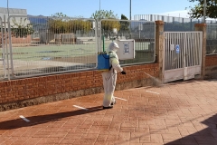 Limpieza-en-el-camino-La-Fraila-junto-al-CEIP-Pintor-Camaron-de-Segorbe.-2