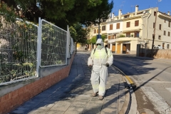 Limpieza-en-los-accesos-al-CEIP-Pintor-Camaron-de-Segorbe-2