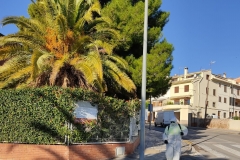 Limpieza-en-los-accesos-al-CEIP-Pintor-Camaron-de-Segorbe-3