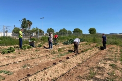 Marisa-Lopez-ha-visitado-el-huerto-donde-los-usuarios-del-CRIS-realizan-el-taller-de-agricultura-2