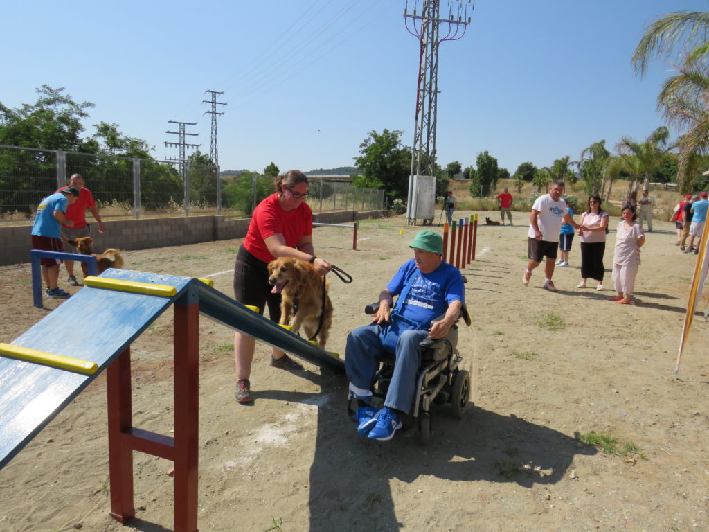 Usuarios del Centro Ocupacional de Segorbe participan en la exhibición de adiestramiento canino en el Parque Canino de Segorbe