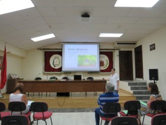 Reunión en Segorbe sobre el control del mosquito tigre