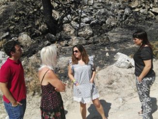 Concejales del Ayuntamiento de Segorbe visitan junto a Mónica Álvaro la zona arrasada por el incendio