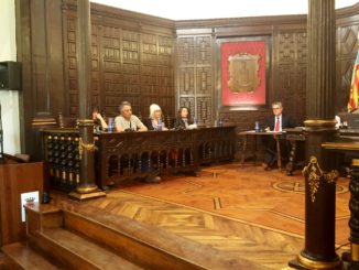 Mª Teresa García, Concejala de Comercio de Segorbe, ha respondido a las preguntas en el Pleno