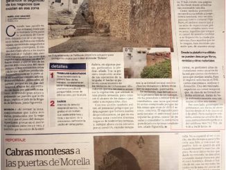 31-03 El Mundo